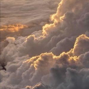 Meet your Posher, Zoe